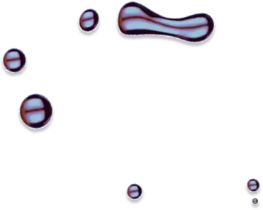 Quantumator Crypto - ติดต่อกับพวกเรา